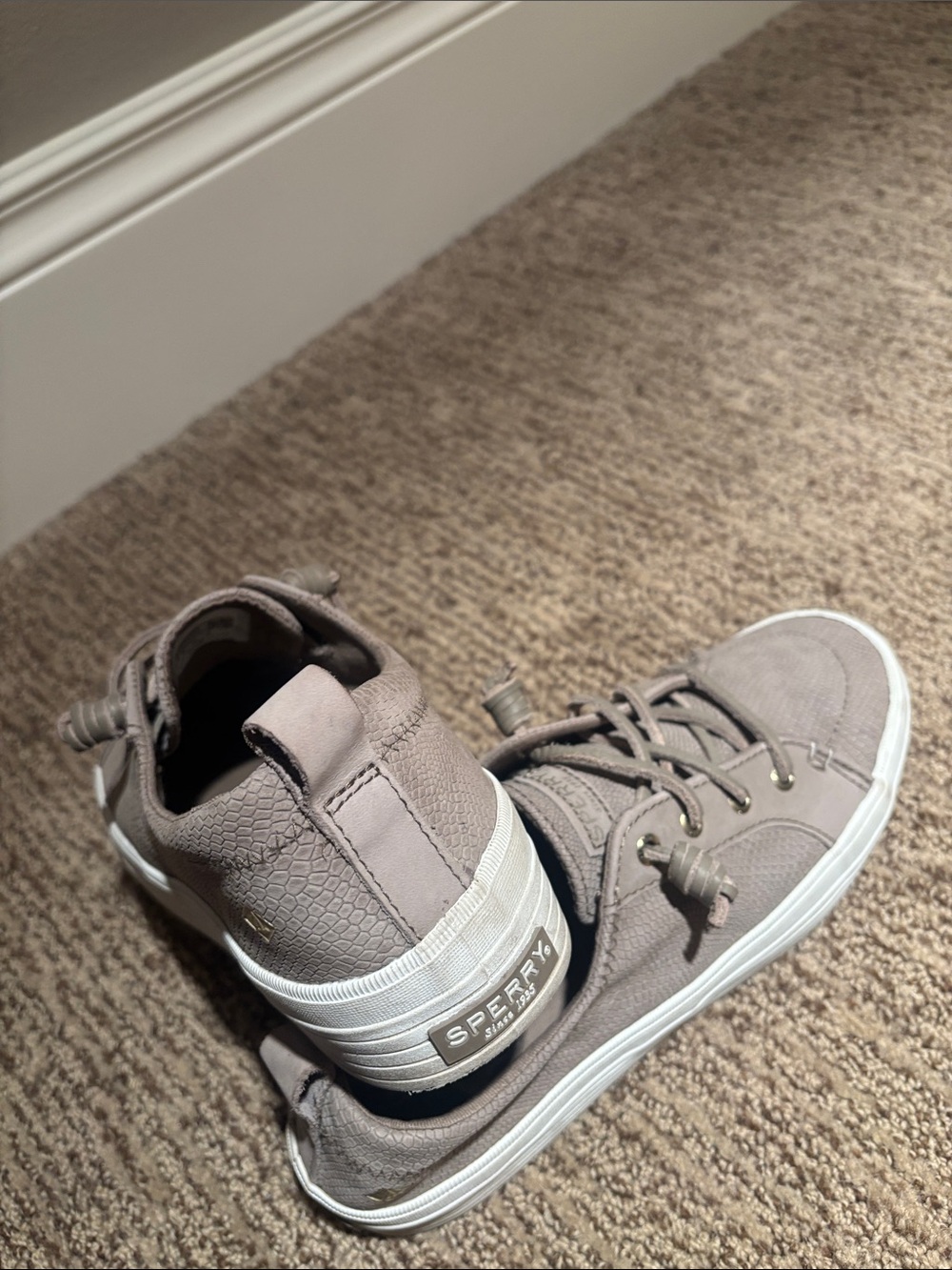Sperry Kids Taupe/Beige High-Top Sneakers